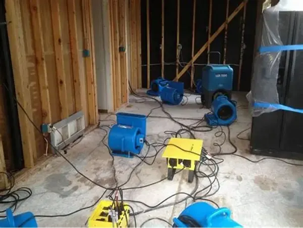 Air movers and a dehumidifier drying a gutted room with the walls opened