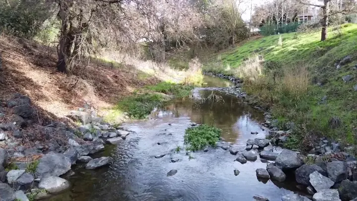 A rocky creek running full between grassy banks near Vacaville after winter rain