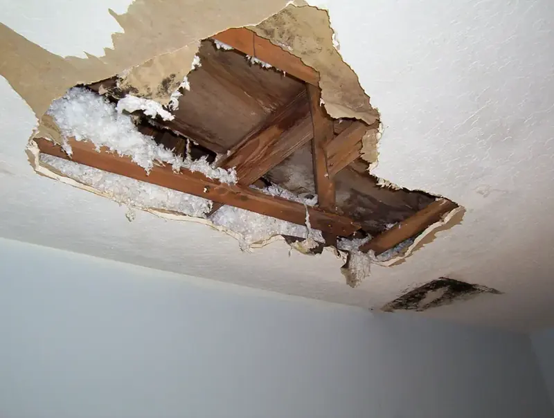Ceiling opened to wet joists and insulation after a leak from above in Vacaville